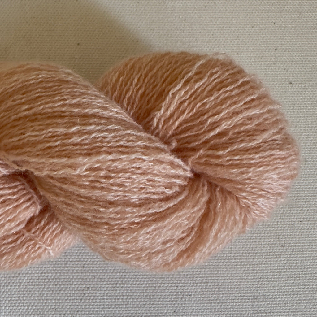 Cantaloupe